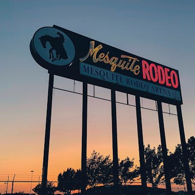 Mesquite