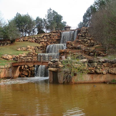 Wichita Falls