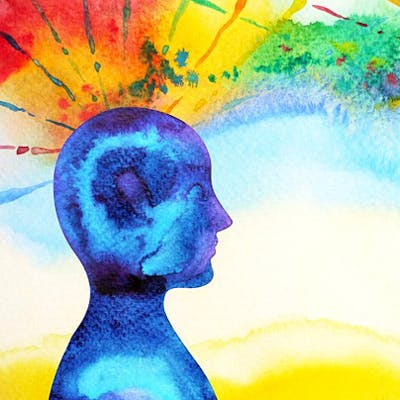 seeking the right therapeutic modality