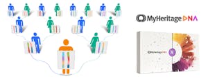 MyHeritage DNA Review