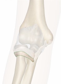 Annular Ligament of Elbow