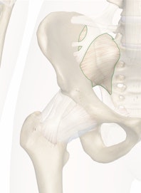 The Anterior Sacroiliac Ligament