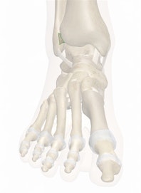 Anterior Tibiofibular Ligament
