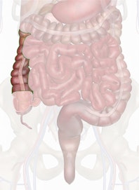 The Ascending Colon