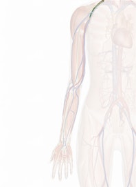 Axillary Artery