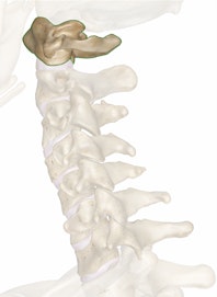 The C1 Vertebra