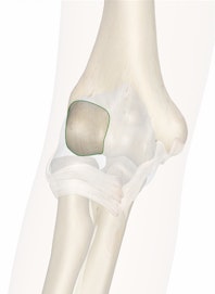 Capitulum of Humerus