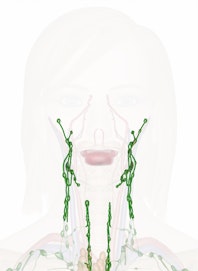 Cervical Nodes