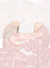 Common Bile Duct