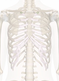 Costoclavicular Ligament
