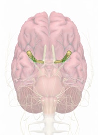 Cranial Nerve II - Optic Nerve