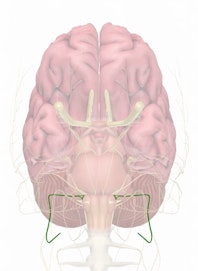Cranial Nerve IX - Glossopharyngeal Nerve