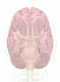 Cranial Nerve V - Trigeminal Maxillary Nerve