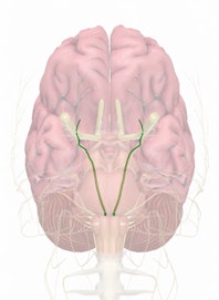 Cranial Nerve VI - Abducens Nerve