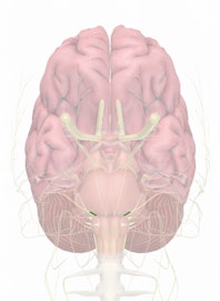 Cranial Nerve VII - Facial Nerve