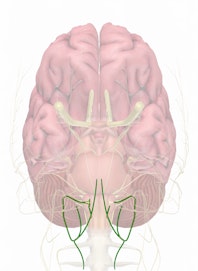 Cranial Nerve XII - Hypoglossal Nerve