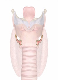 Cricothyroid Joint