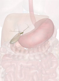 Cystic Duct