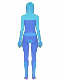 Dermatome Zones (Posterior)