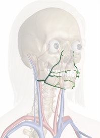 Facial Vein
