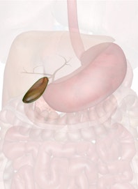 The Gallbladder