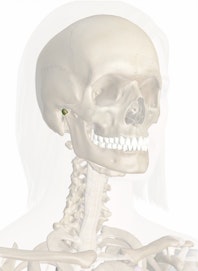 Head of Condylar Process