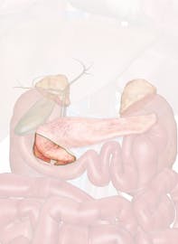 Head of Pancreas