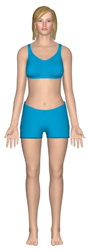 Integumentary System