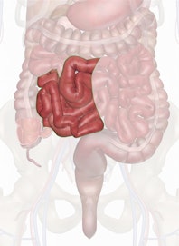 Ileum