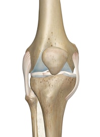 Knee Joint (Deep Anterior View)