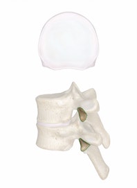 Inferior Articular Process