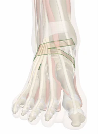 Inferior Extensor Retinaculum