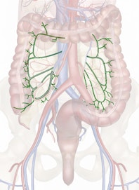 Intestinal Veins