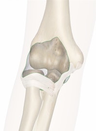 Joint Capsule of Elbow