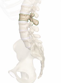 The L2 Vertebra