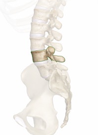 L4 (4th Lumbar Vertebra)