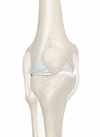 Lateral Meniscus