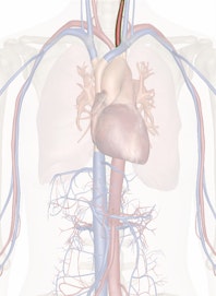 Left Common Carotid Artery