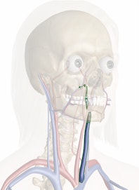 Left Internal Jugular Vein
