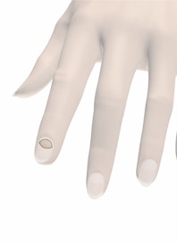 Lunula of Fingernail