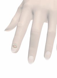 Lunula of Fingernail