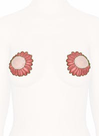 Mammary Gland Lobules