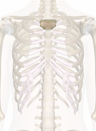 Manubrium of Sternum