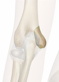 Medial Epicondyle of Humerus