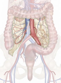 Mesocolon