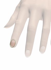 Nail Body of Fingernail