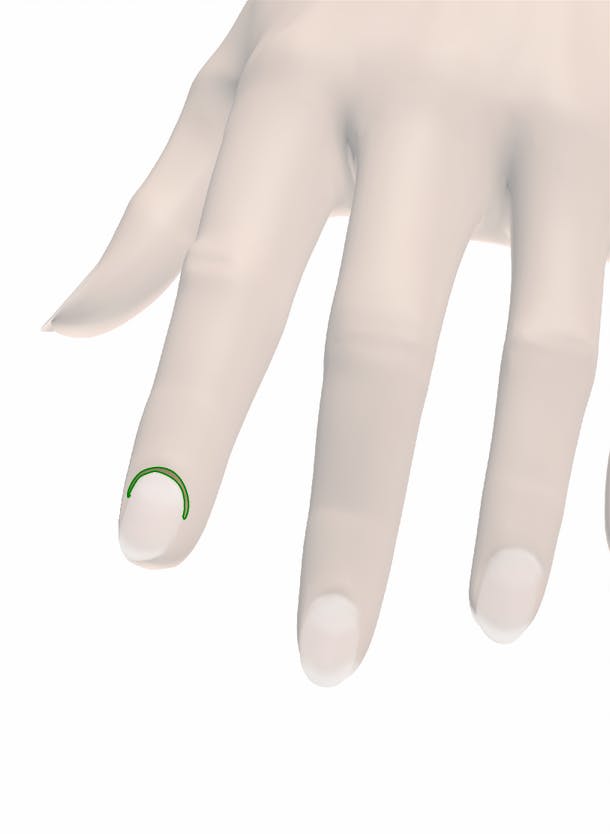 Nail Root of Fingernail