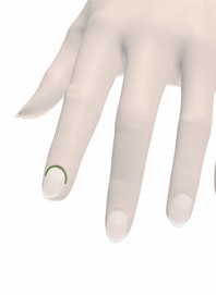 Nail Root of Fingernail