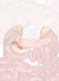 Neck of Pancreas