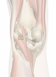 Oblique Popliteal Ligament